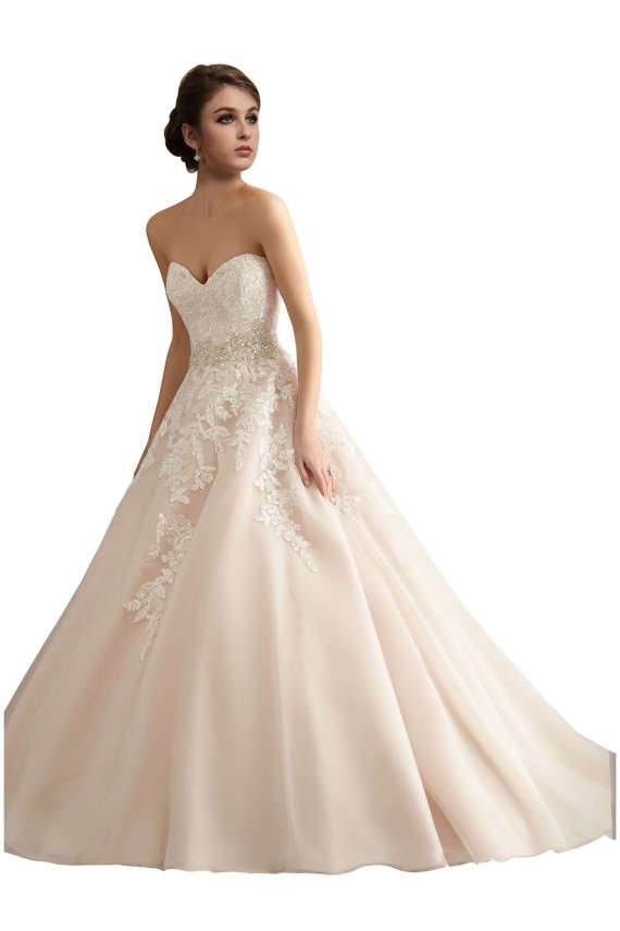 Marfim & Champanhe Vestido de Baile Decote V Comboio Catedral Tule & Renda Longo Vestidos de Noiva